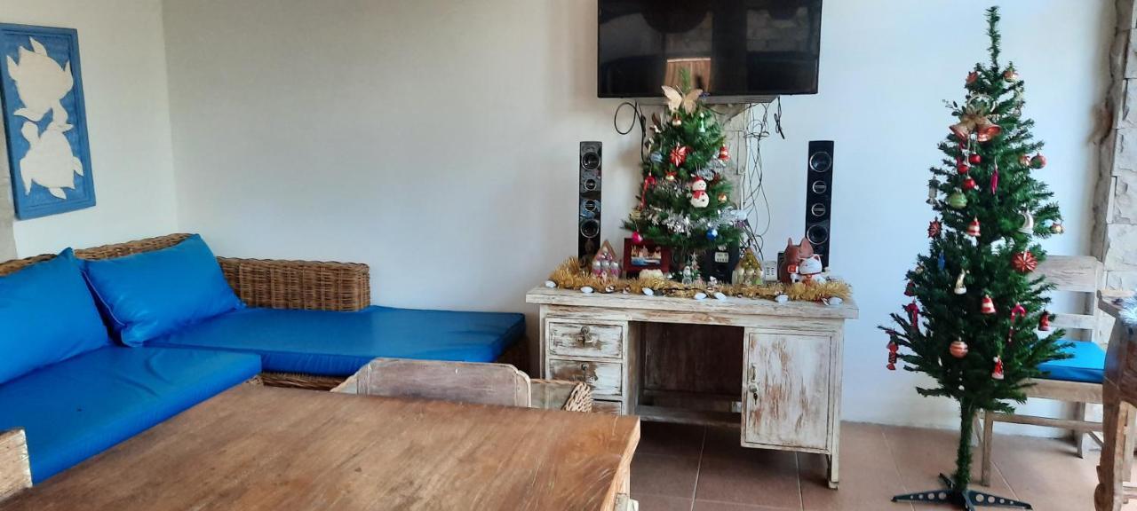 Homestay Turtle Island