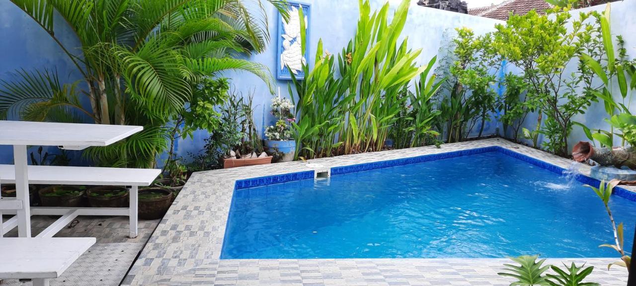Turtle Island Homestay
