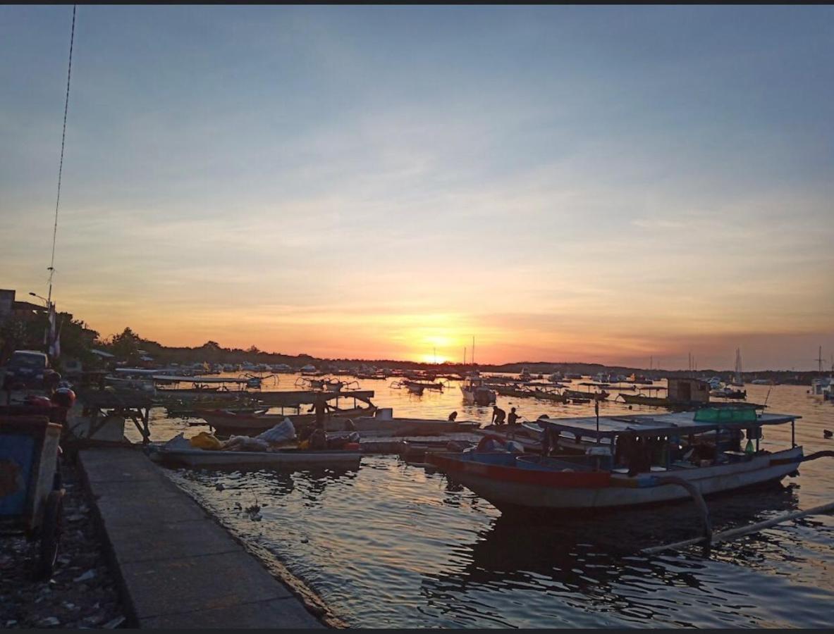 Turtle Island Homestay