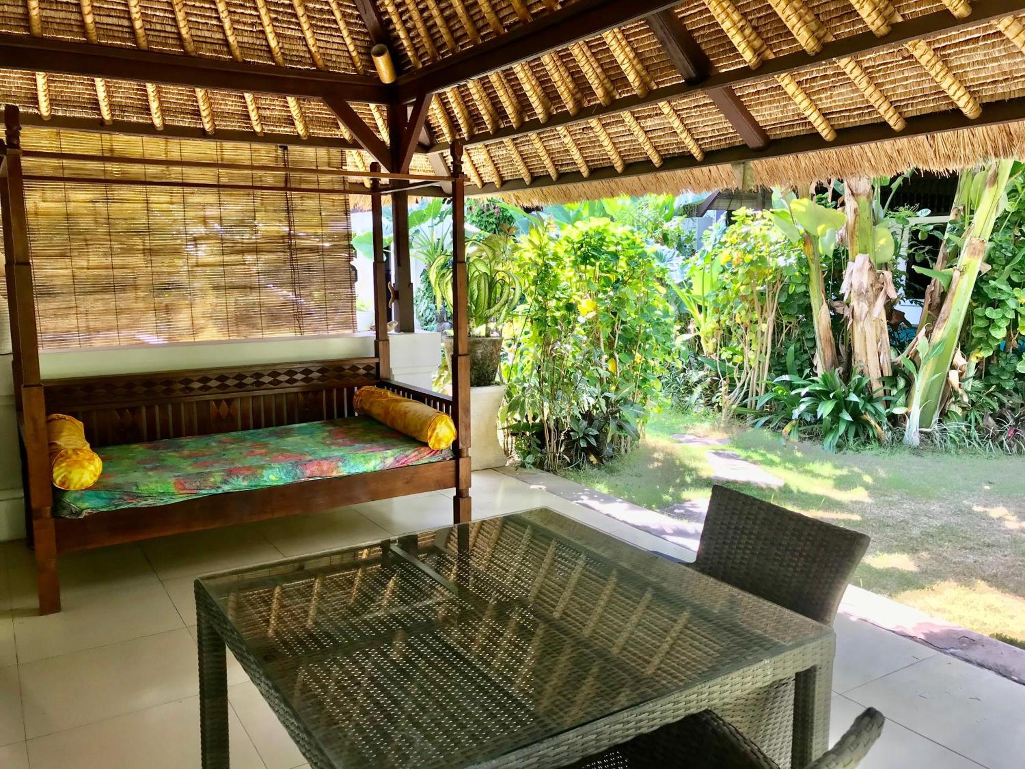 Blind Dog Albergue Sanur