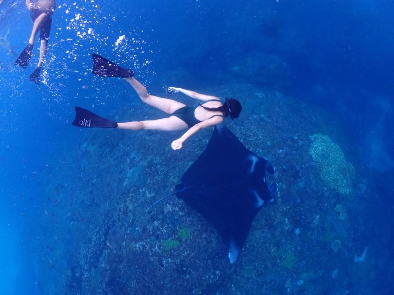 круиз на яхте с бали на нуса пенида Botel Sanur (Bali)