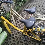 G Saskara Homestay