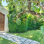 Villa Frangipani