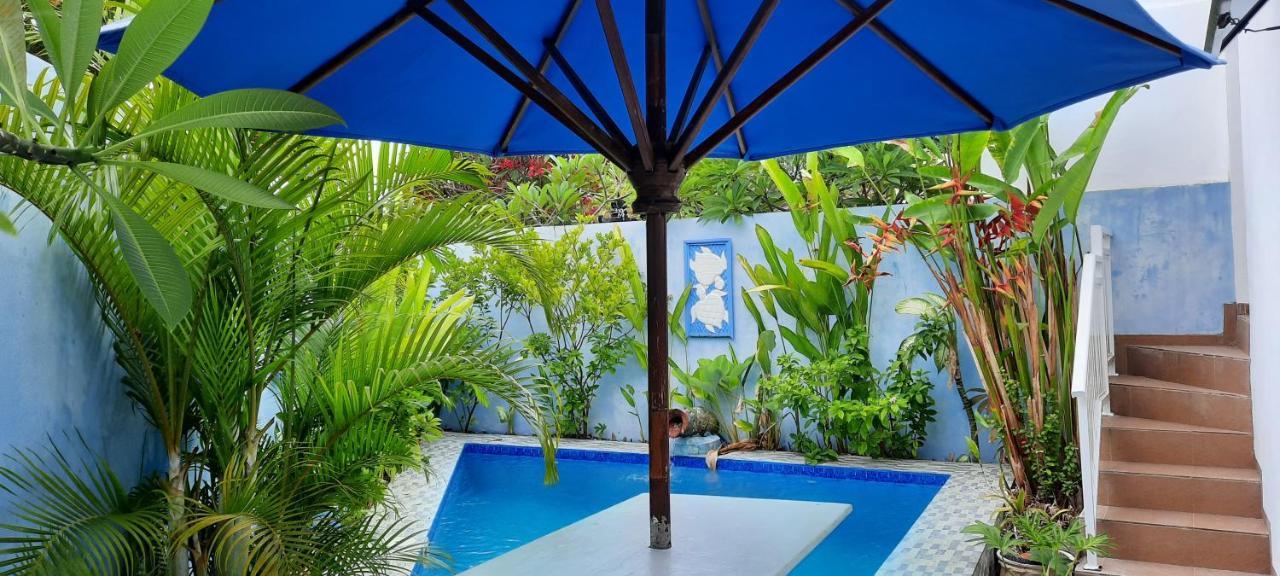 Turtle Island Hospedagem domiciliar *