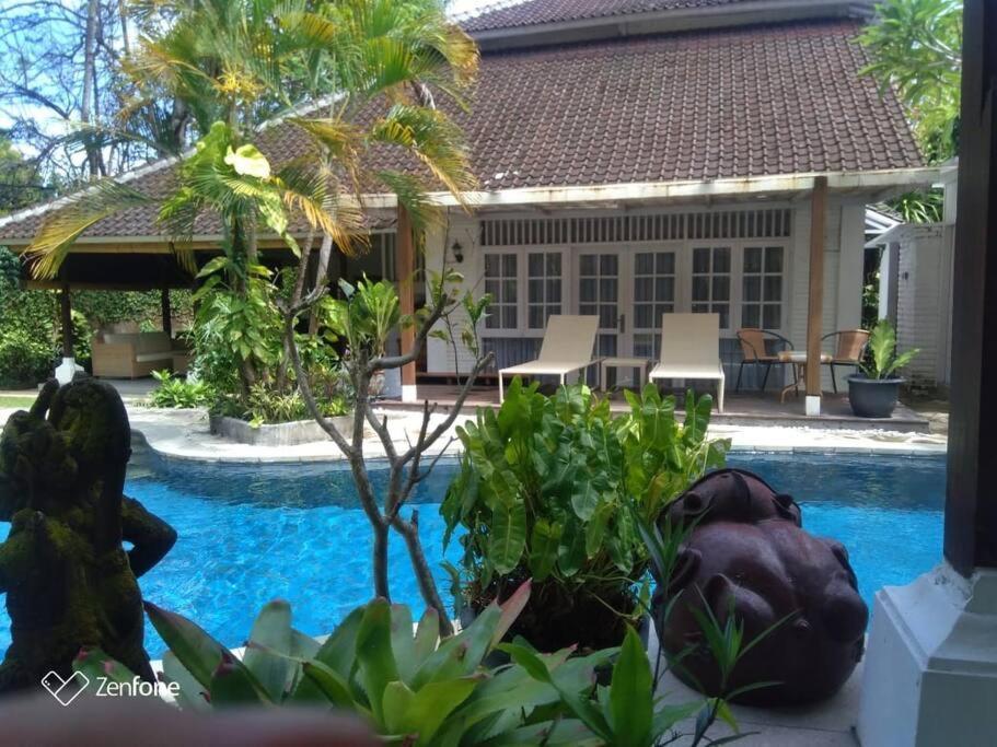 Villa Miracle