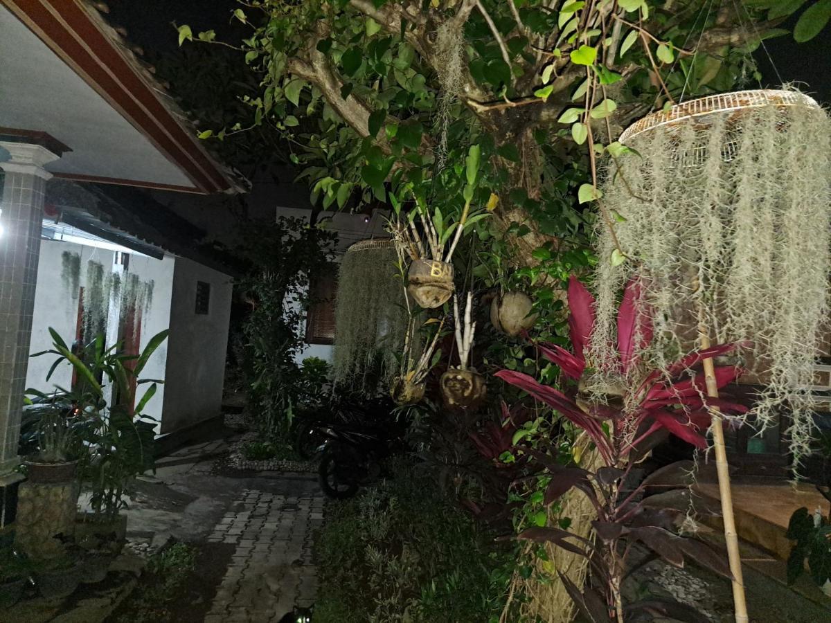 Homestay Ascarya