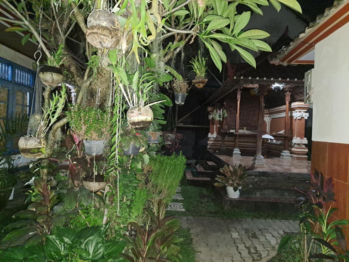 Ascarya