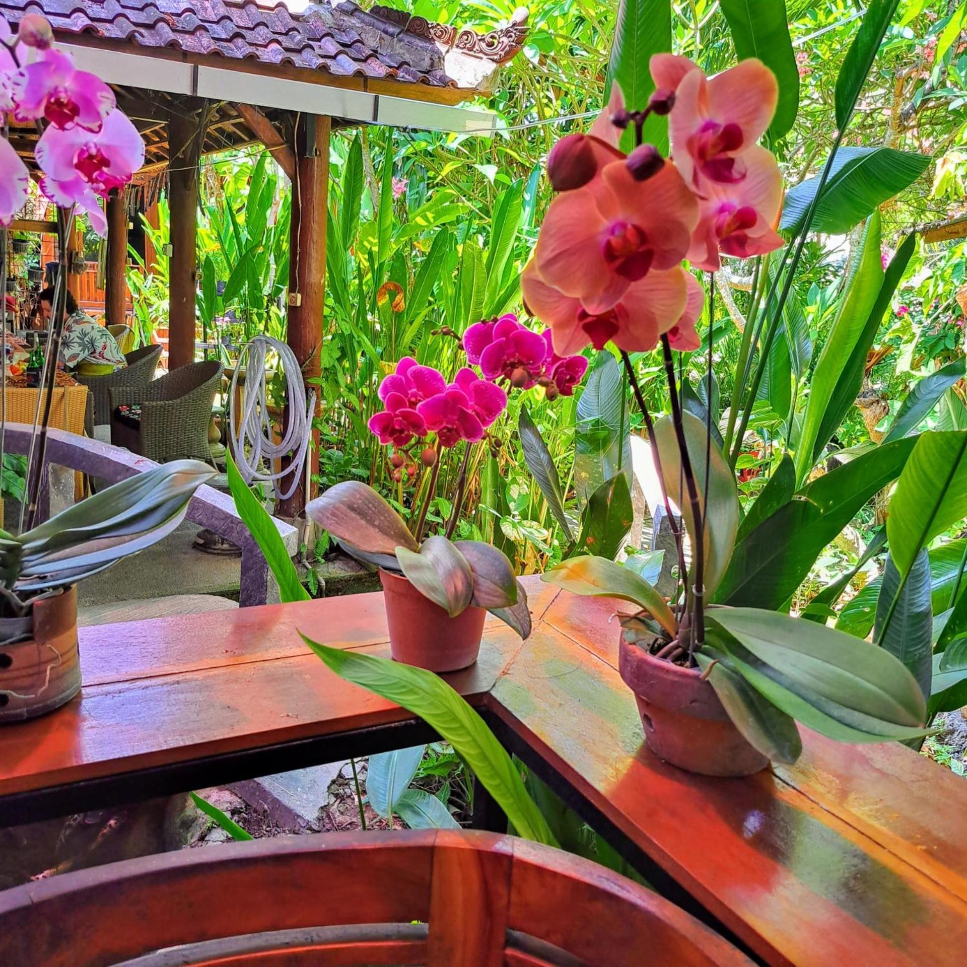 Bali Kembali 2* Sanur (Bali)