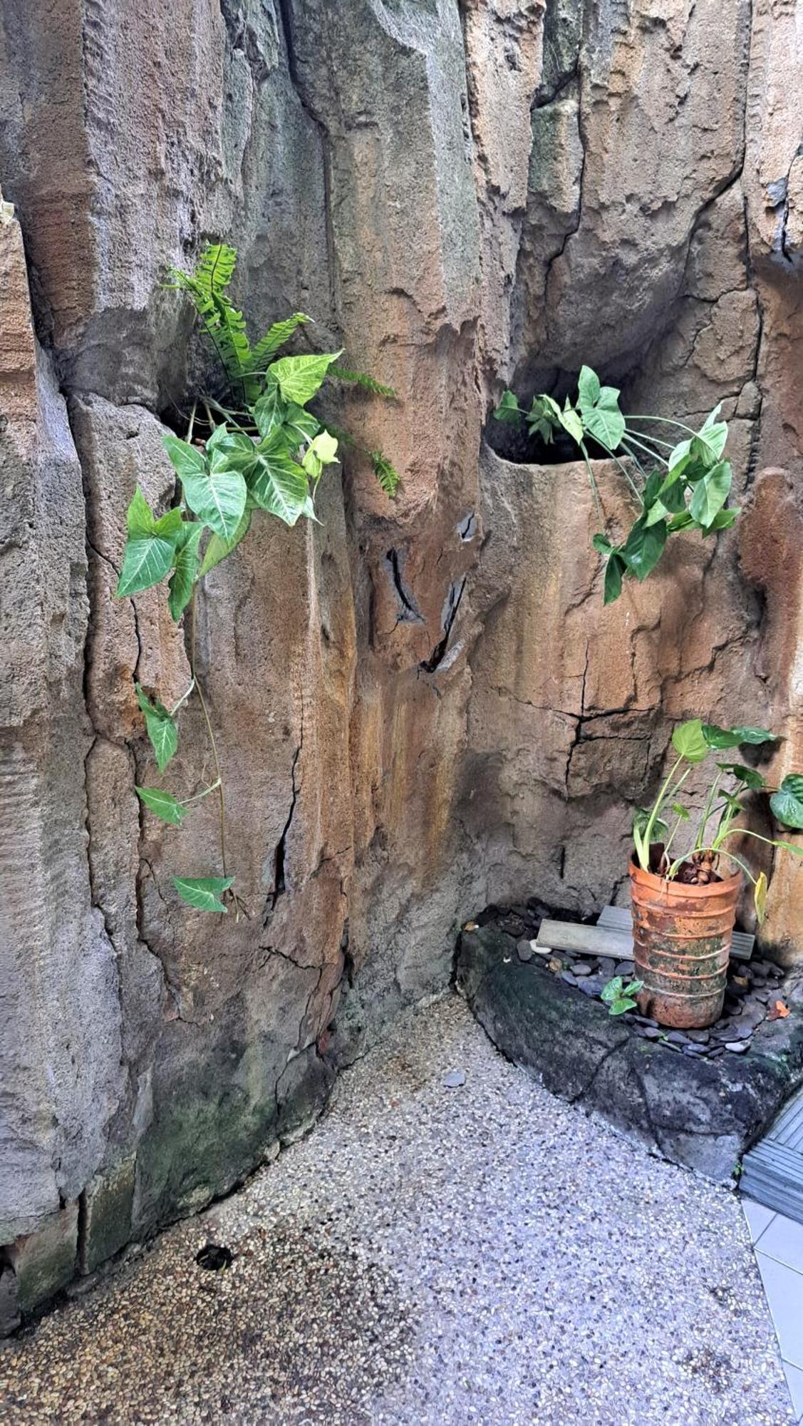 Taman liburan Bali Kembali 2*