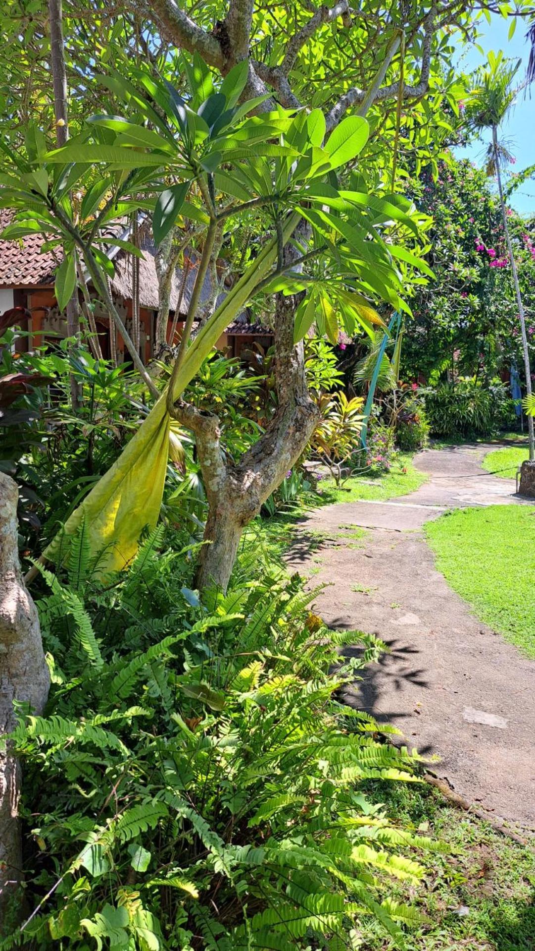 Taman liburan Bali Kembali