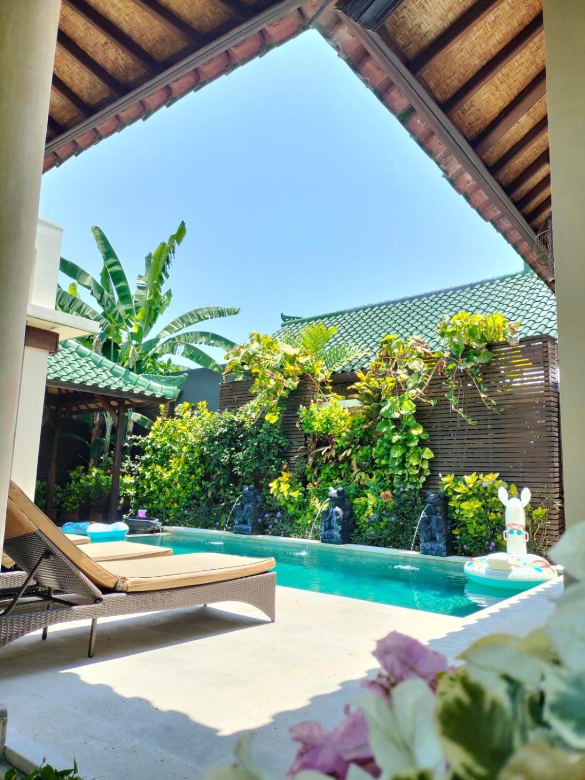 Frangipani
