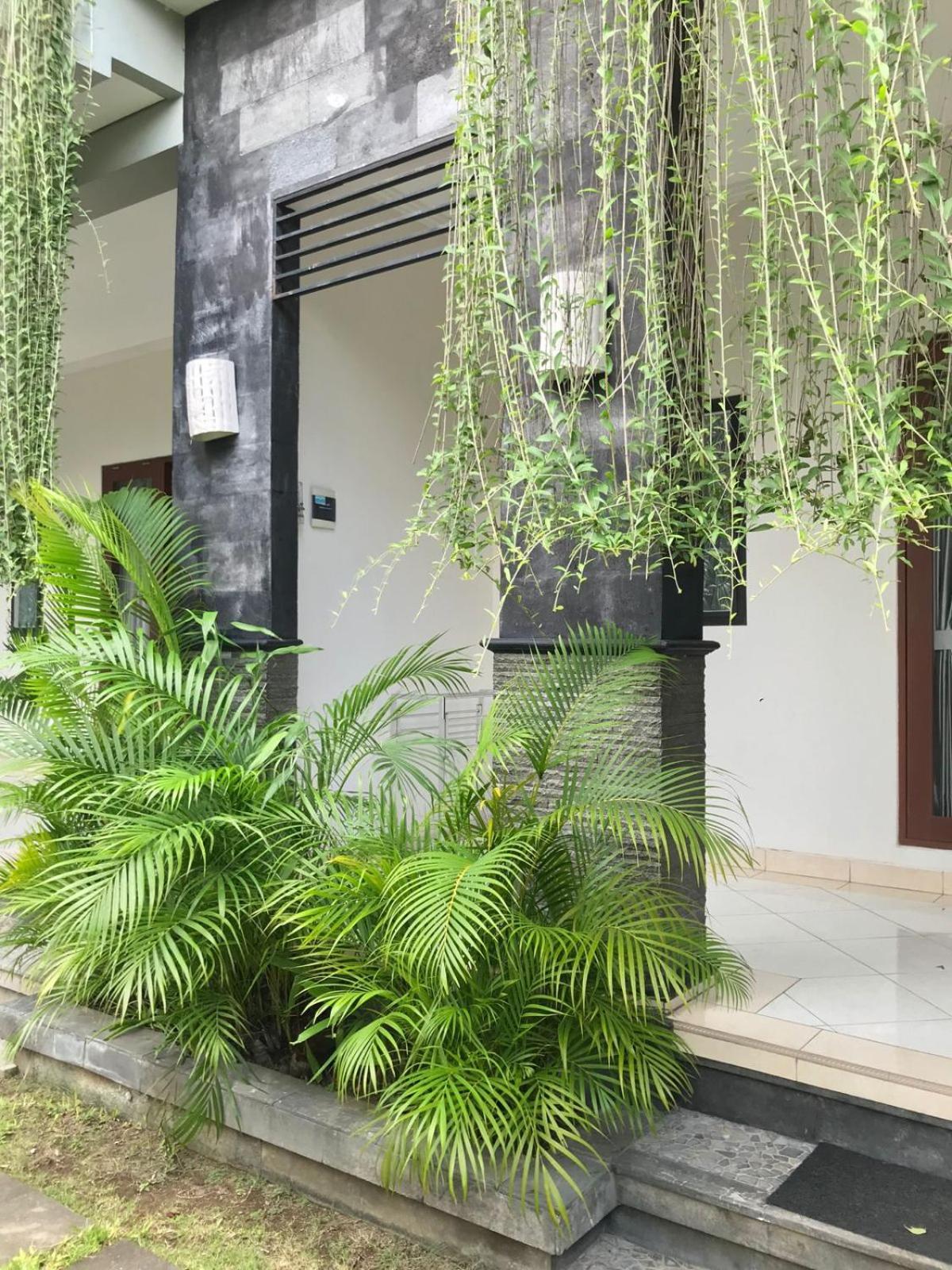 Guest house Surya