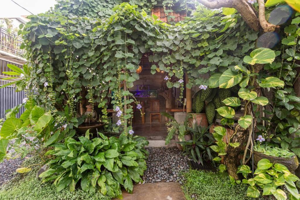 Surfer Garden * Sanur
