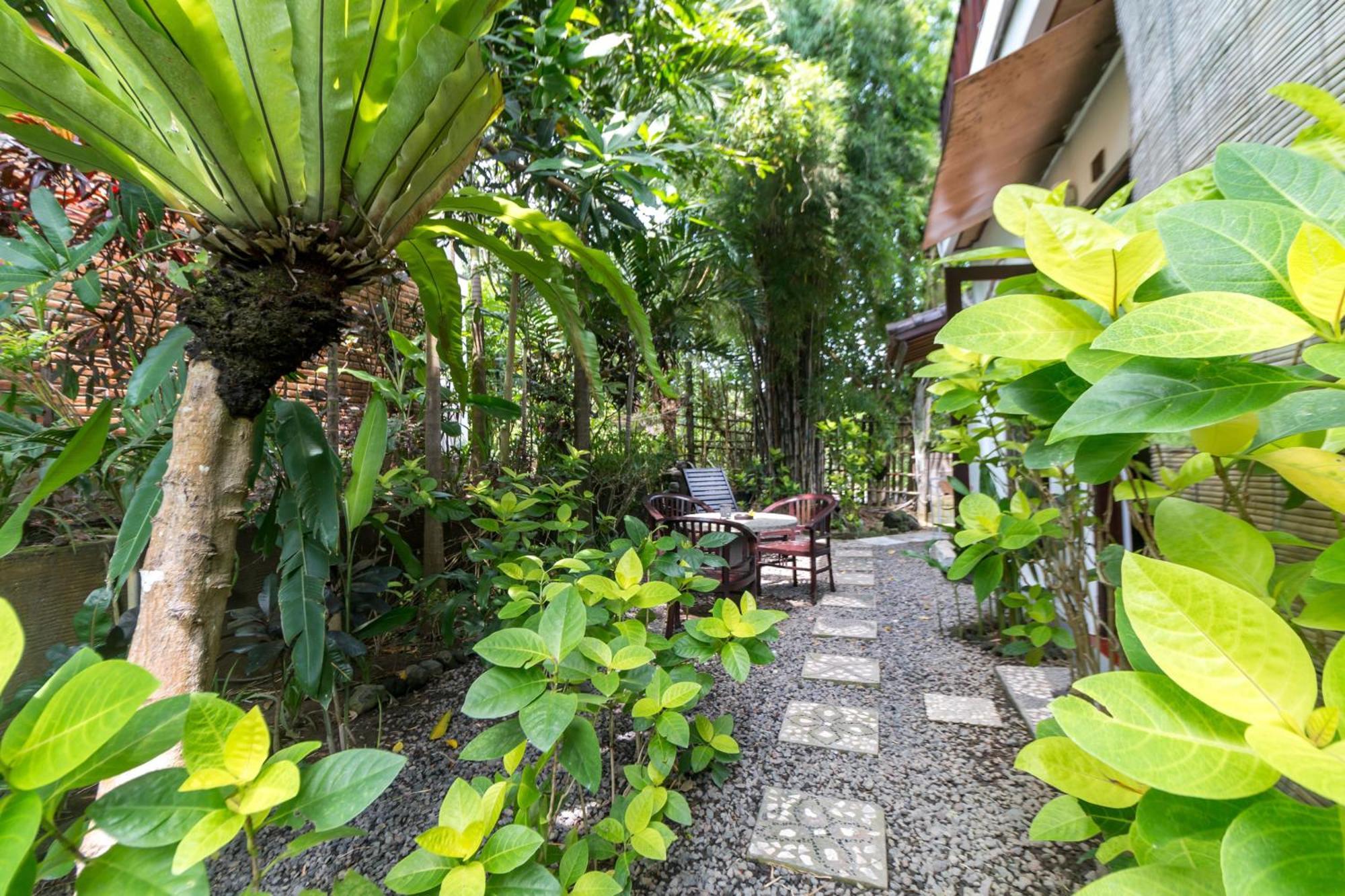 Tropical Bali