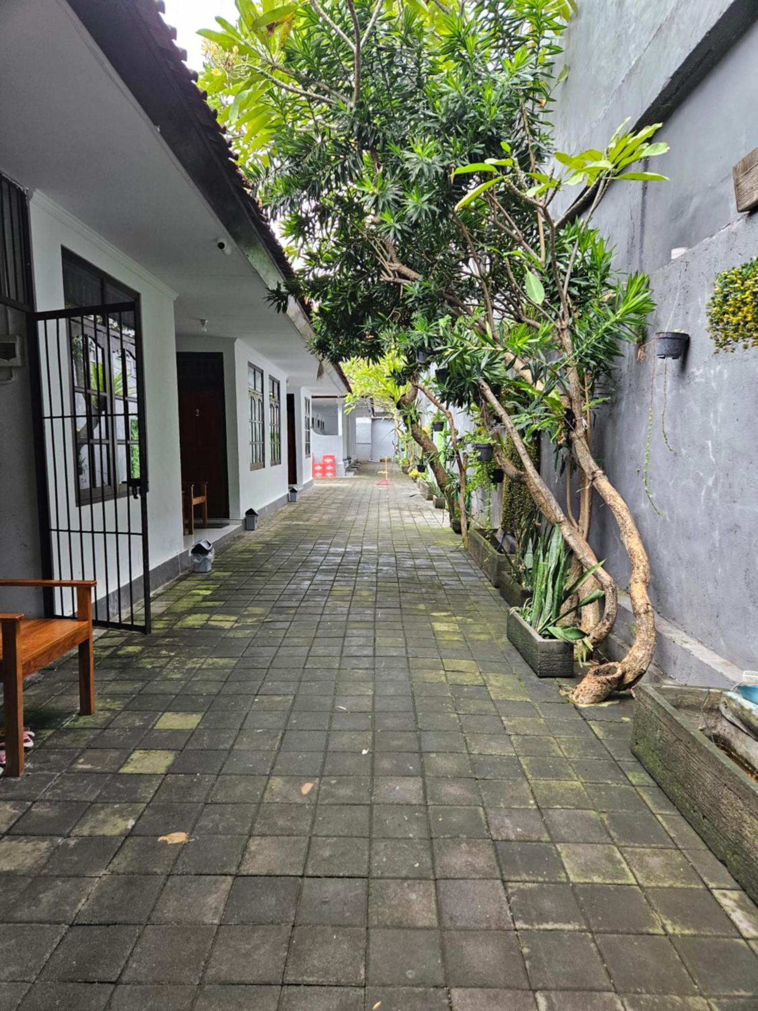 Rumah Kayu Putih Guest house