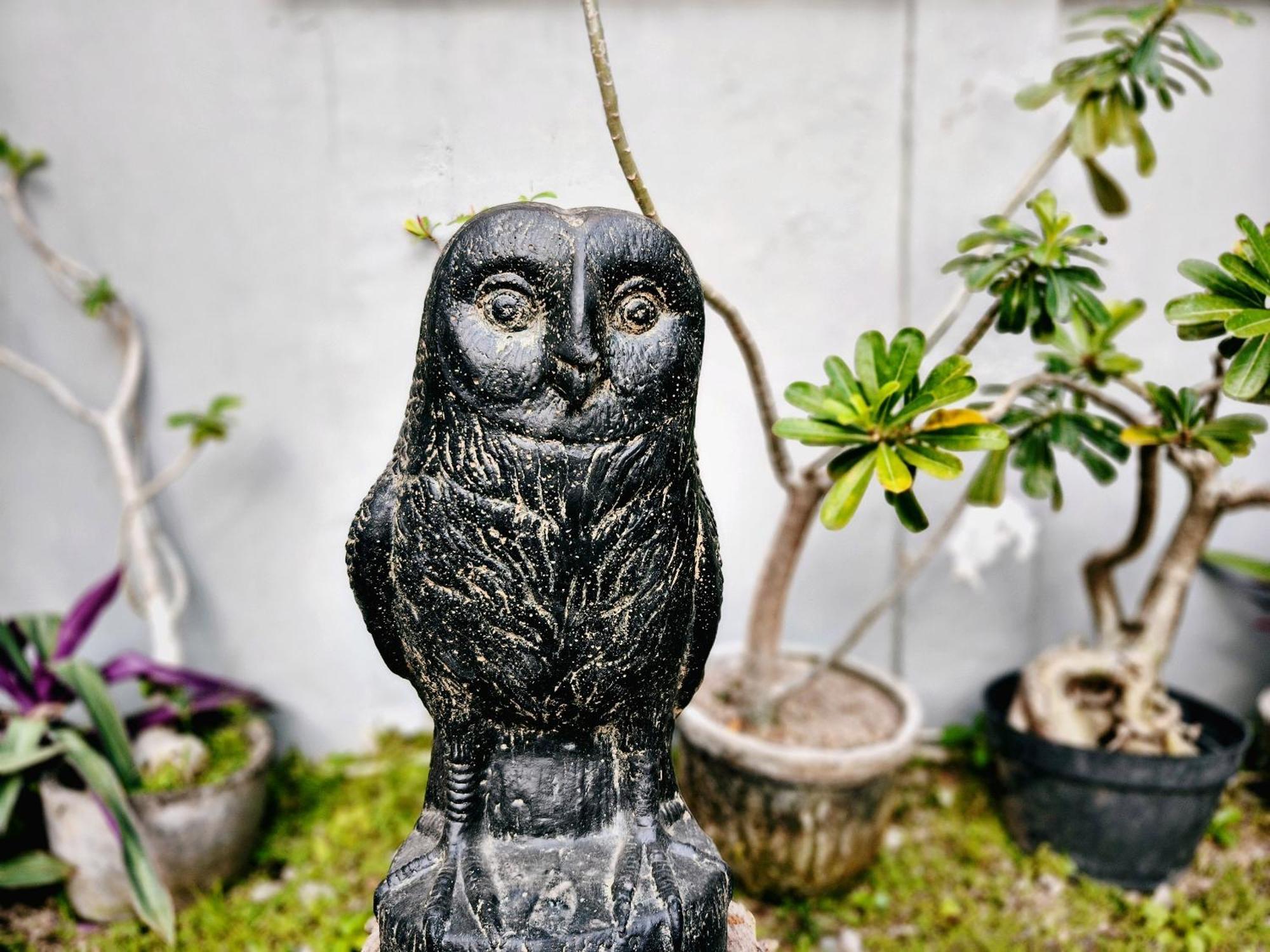 Panda Lumbung Sanur