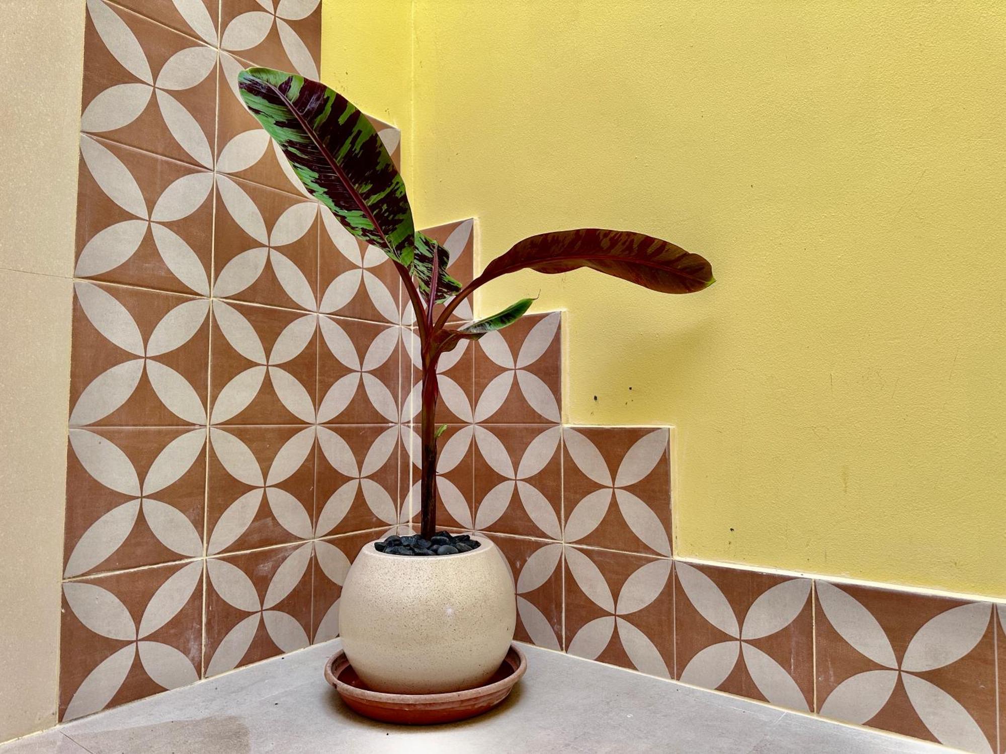 Acomodação com café da manhã  Ocean View Sanur