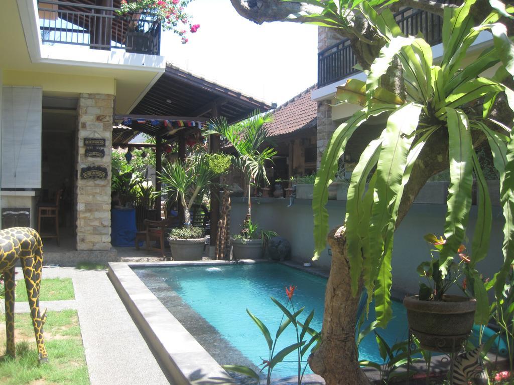 The Duck Guest house