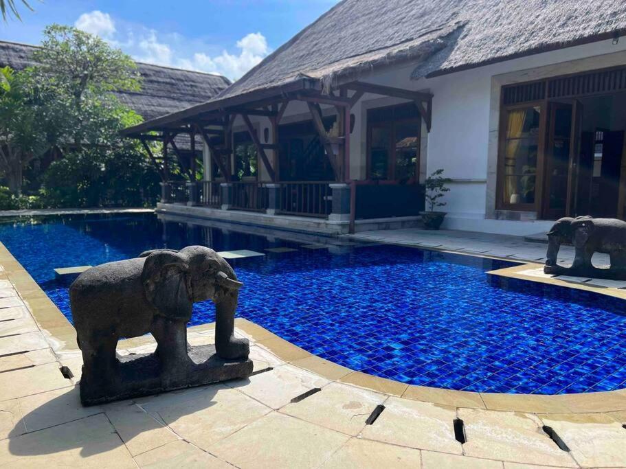 Bali Berg Villa, Villa