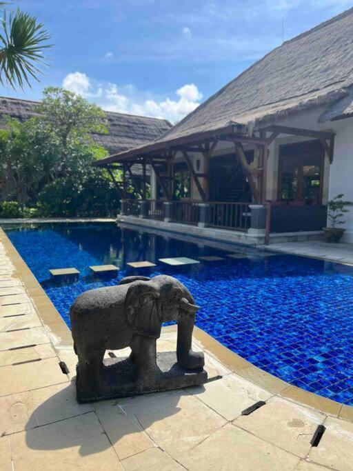 Bali Berg Villa, Villa