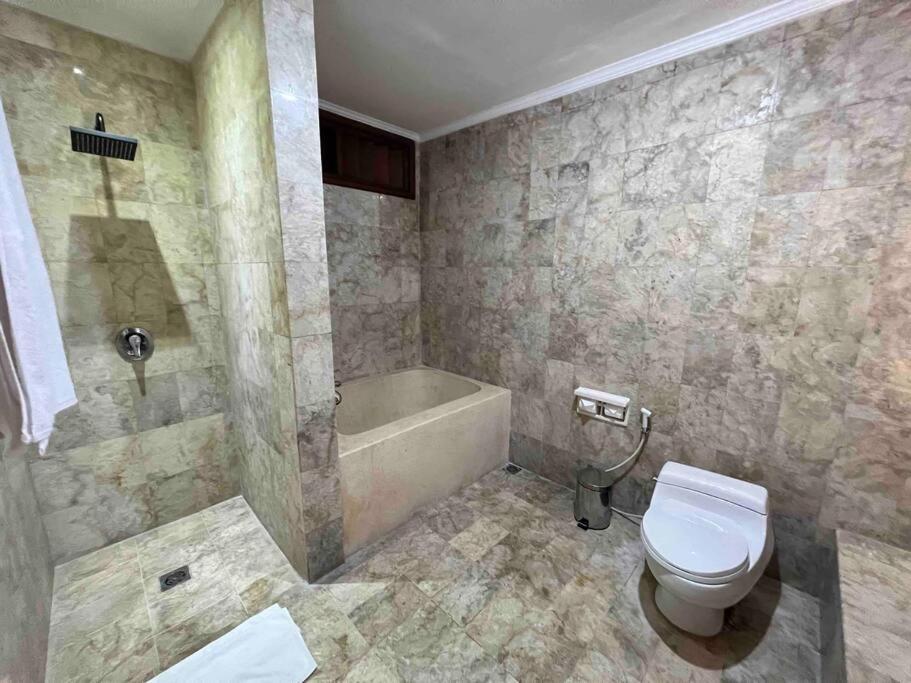 Bali Berg Villa, Villa