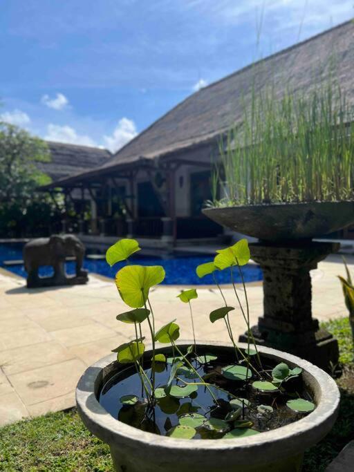 Bali Berg Villa, Villa Sanur (Bali)