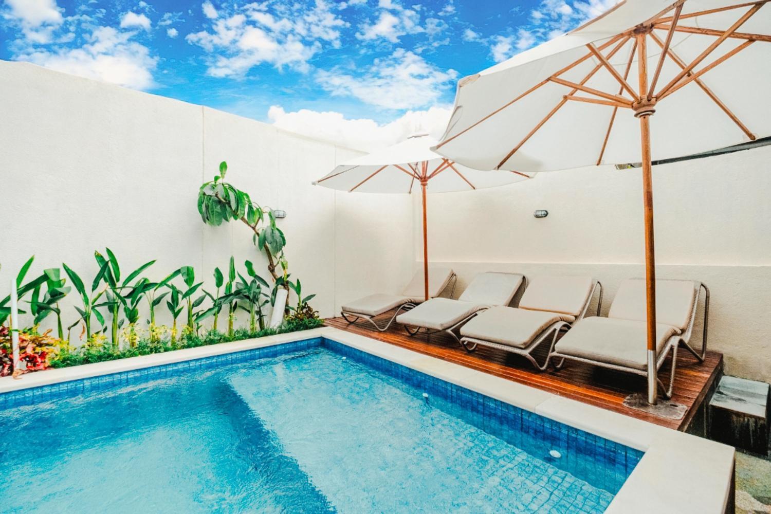 Guest house Turtle Shelter