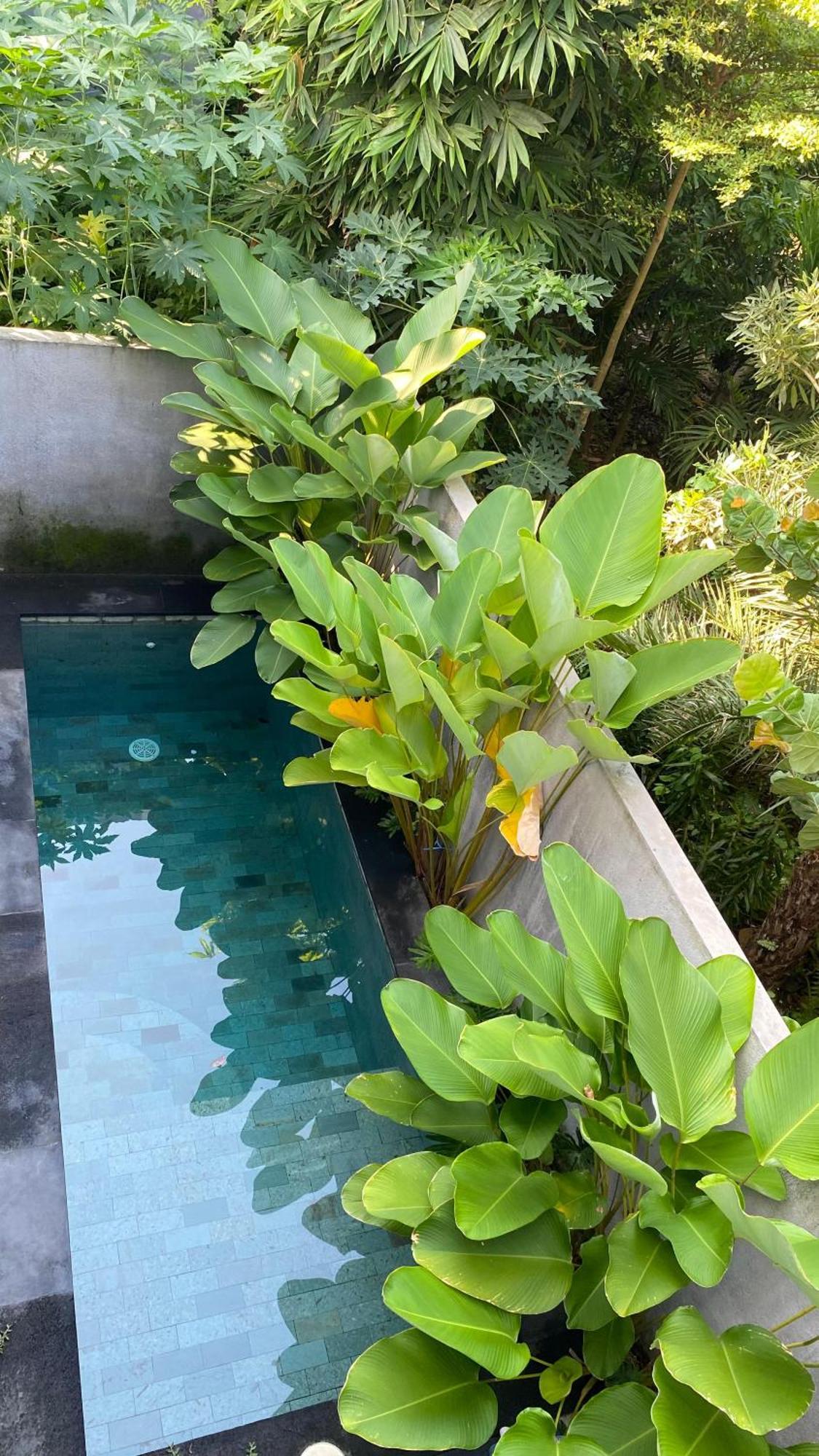2 Bedroom In Sanur (Bali)