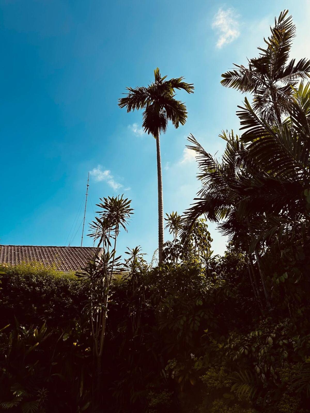 Beautiful 3br Bohemian * Sanur (Bali)