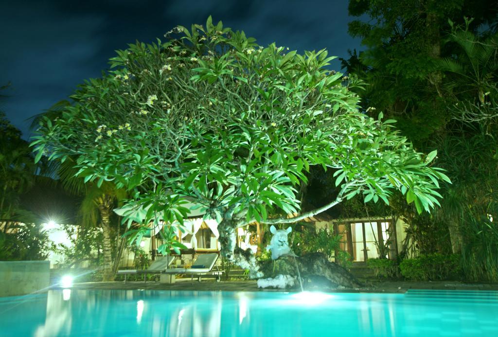 Villa Natah Bale *