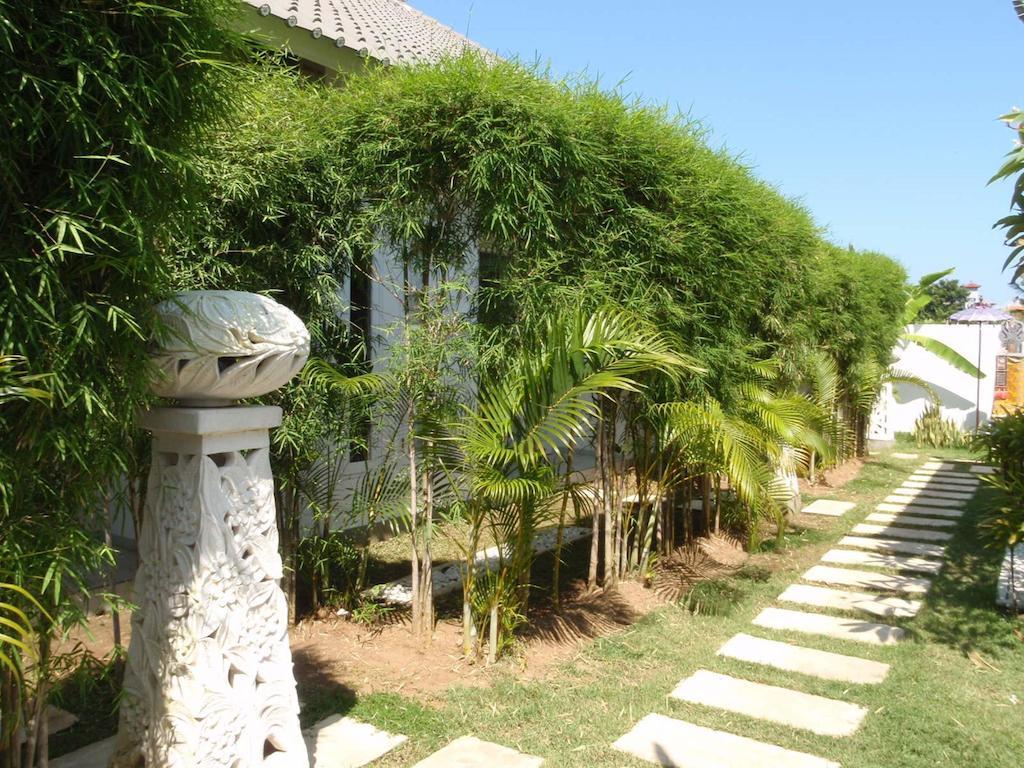 Starling Bali Bed & Breakfast Sanur (Bali)