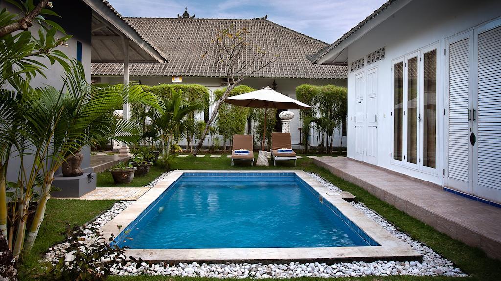 Starling Bali *