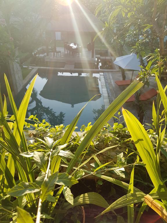 Lily Luxury Guest house