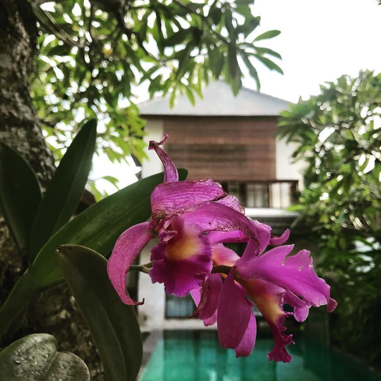 Mudha 3 Guest house Sanur (Bali)