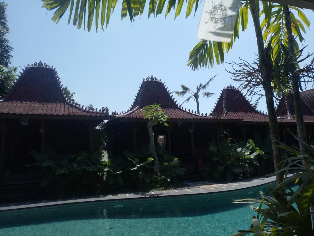 The Garden