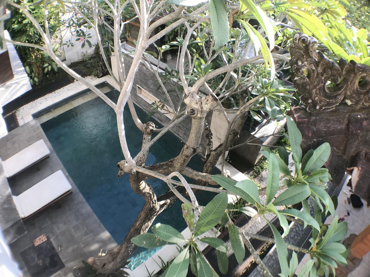 Kubu Munggu * Sanur
