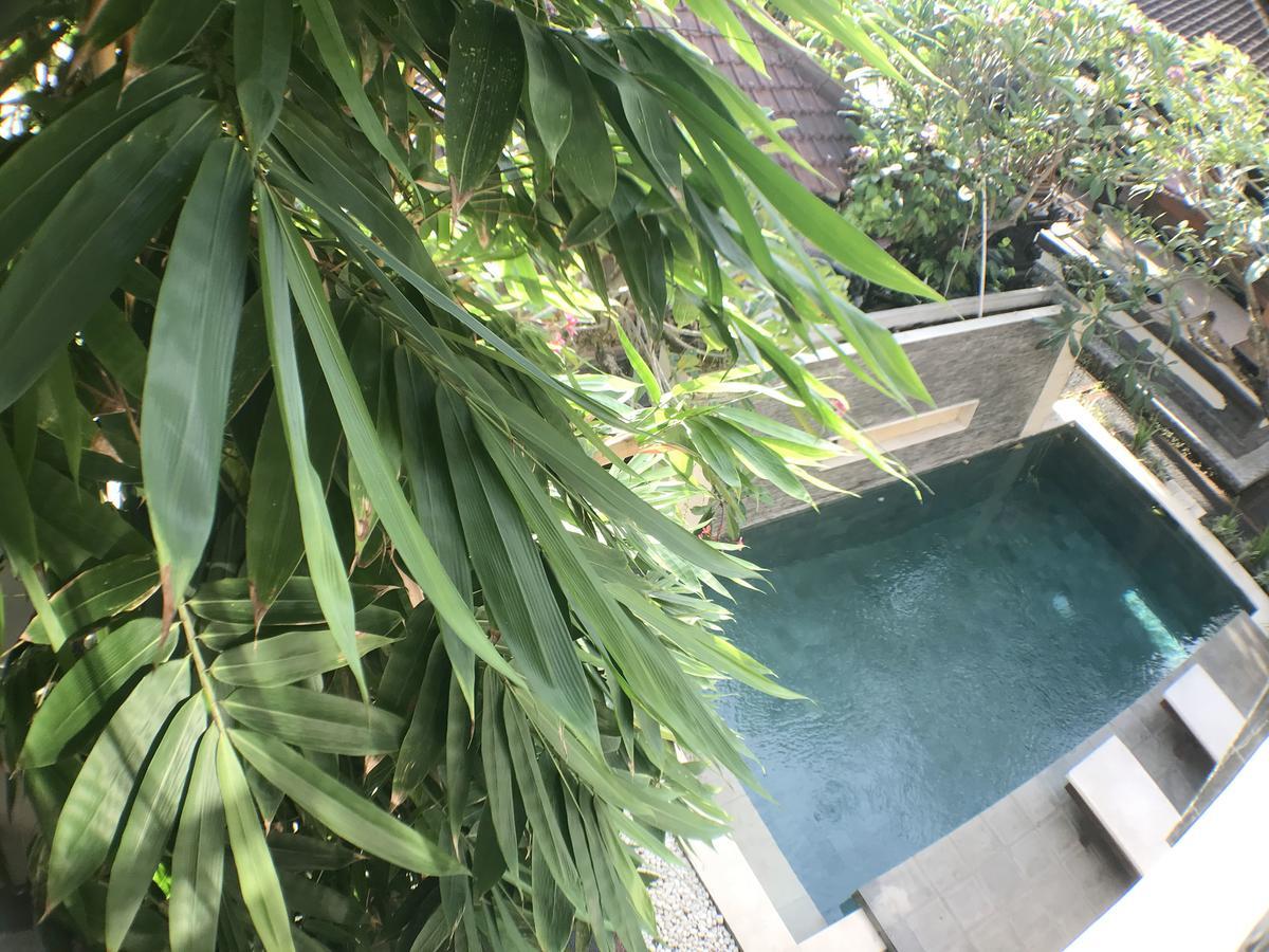Kubu Munggu Sanur
