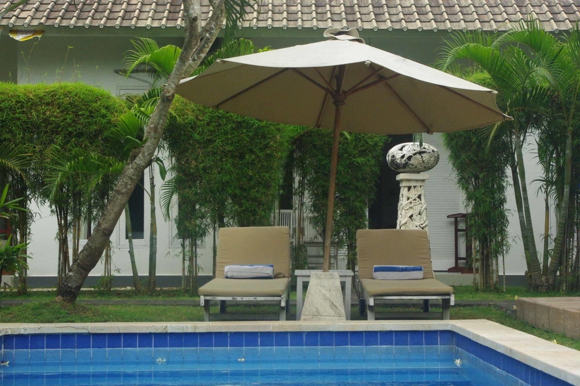 Starling Bali