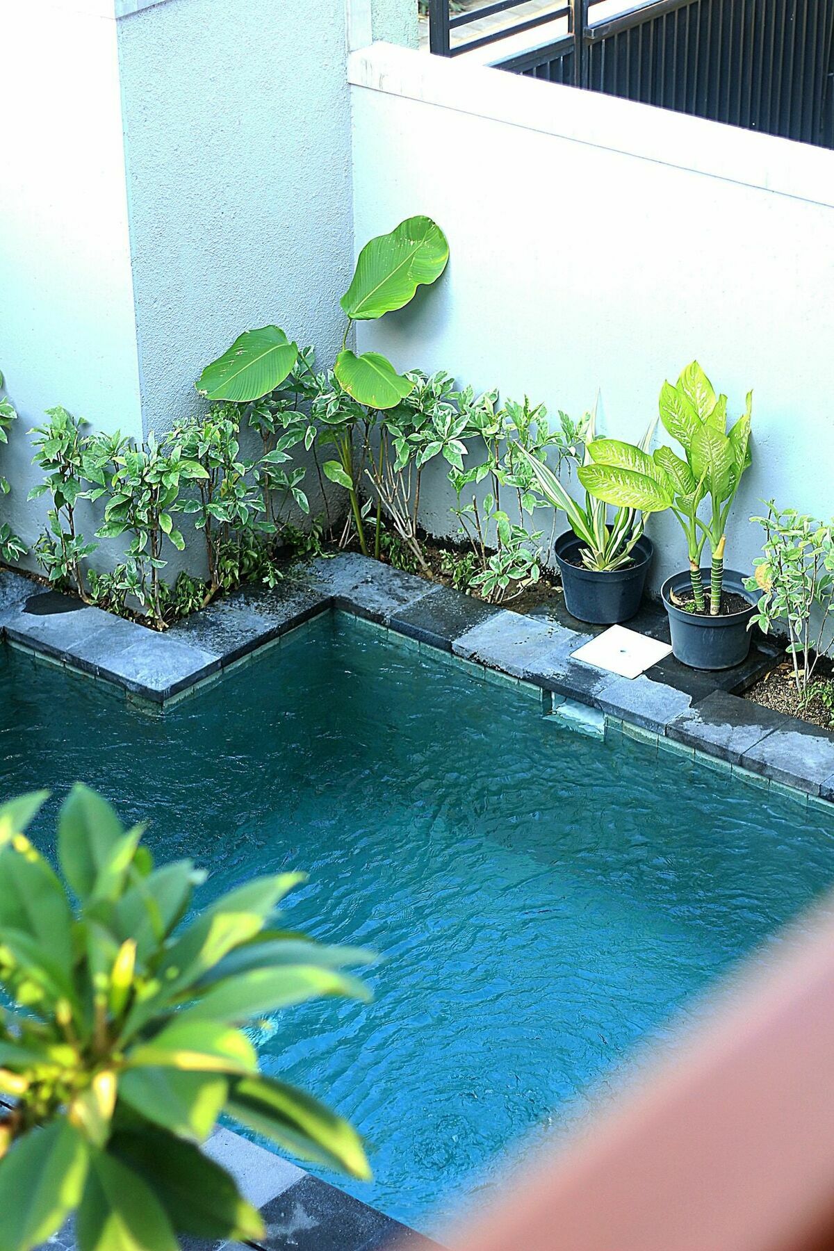Guest house Sweet Corner 2*
