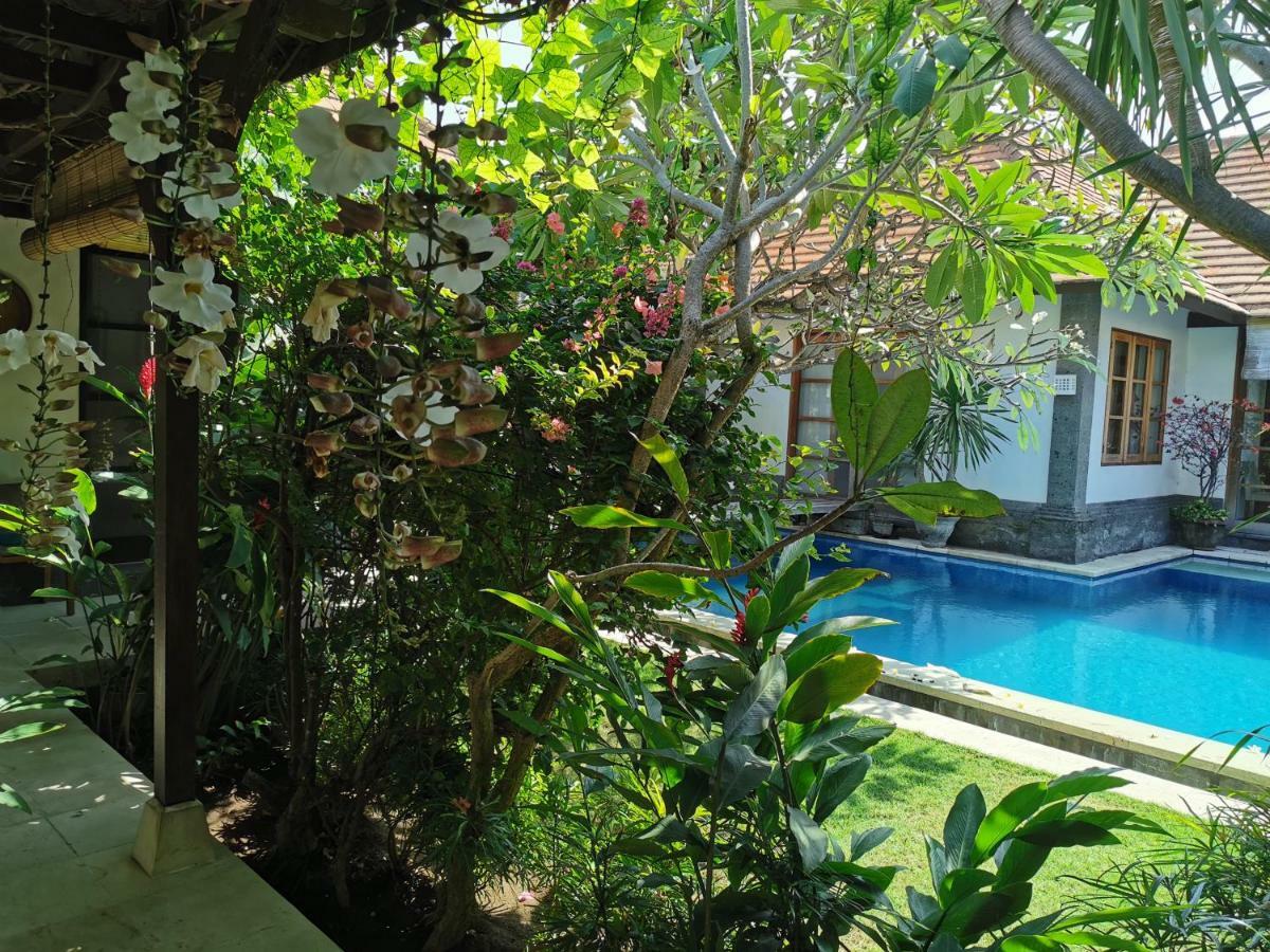 Aliya * Sanur (Bali)