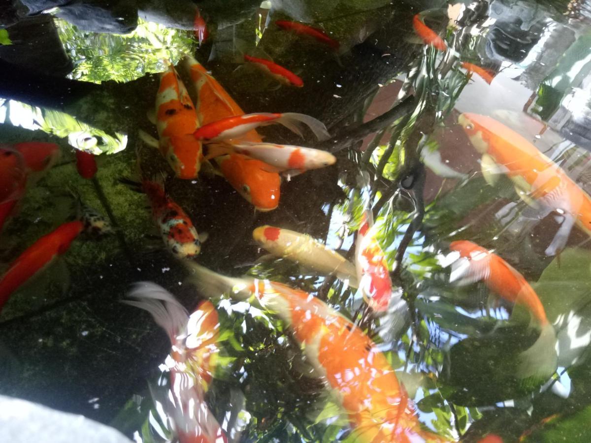 Tjana Homestay Homestay Sanur (Bali)