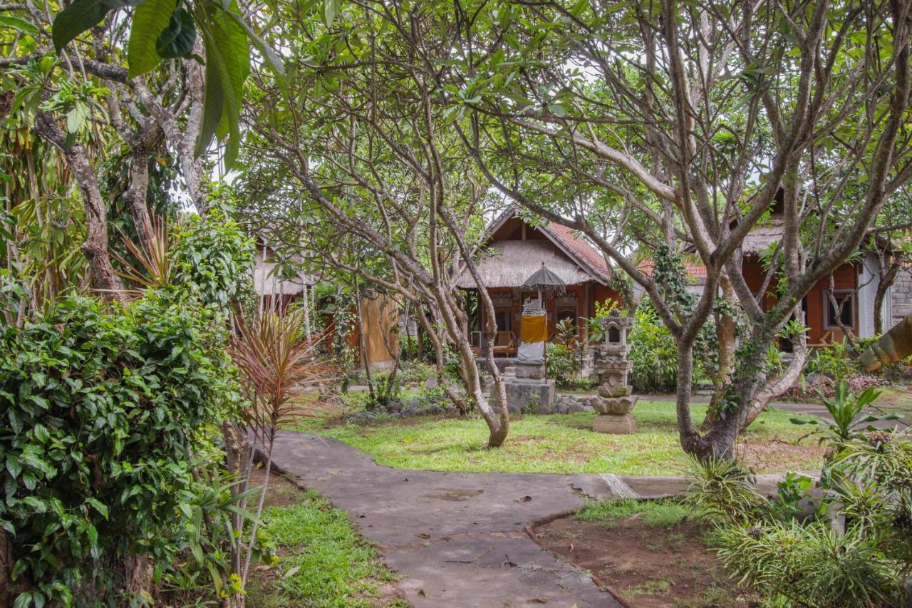 Bali Kembali