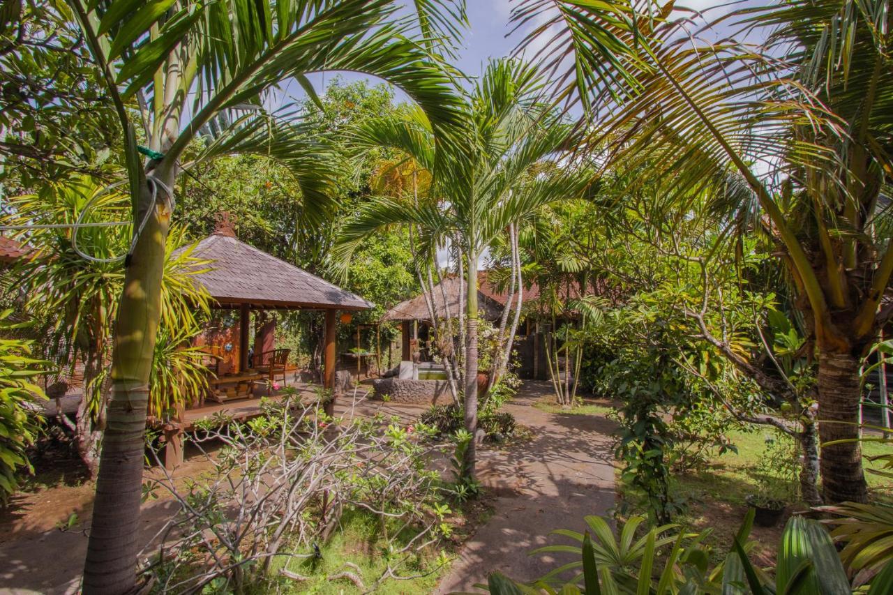 Bali Kembali 2*
