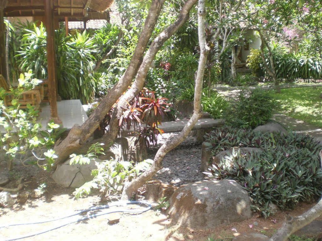 Bali Kembali Sanur (Bali)