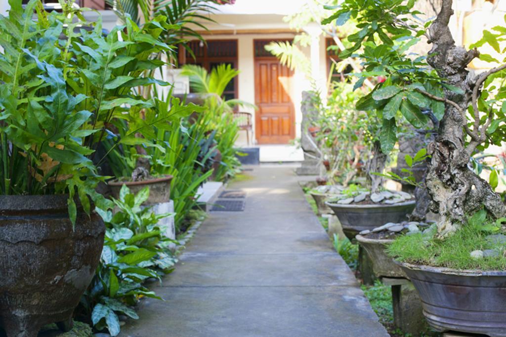 Agung And Sue Watering Hole I Guest house