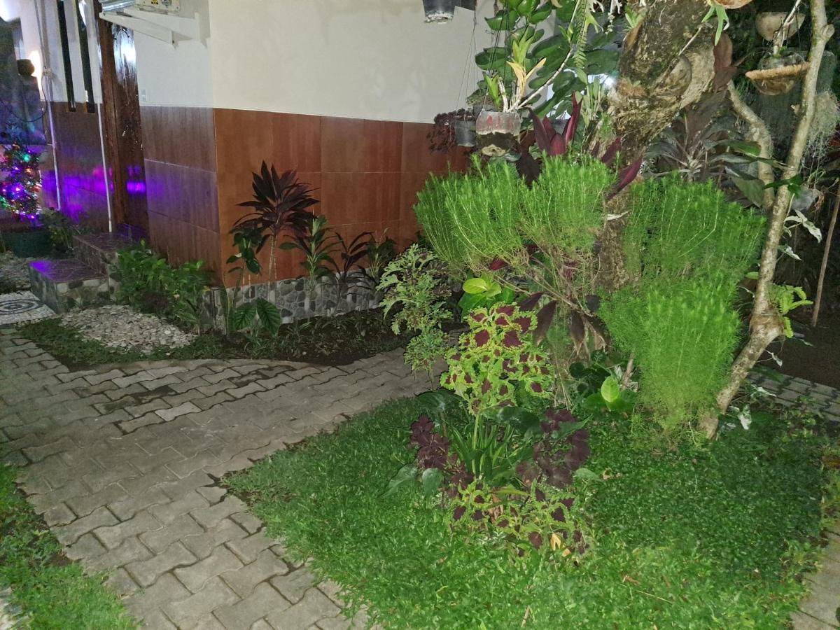 Ascarya Accommodatie bij particulieren *