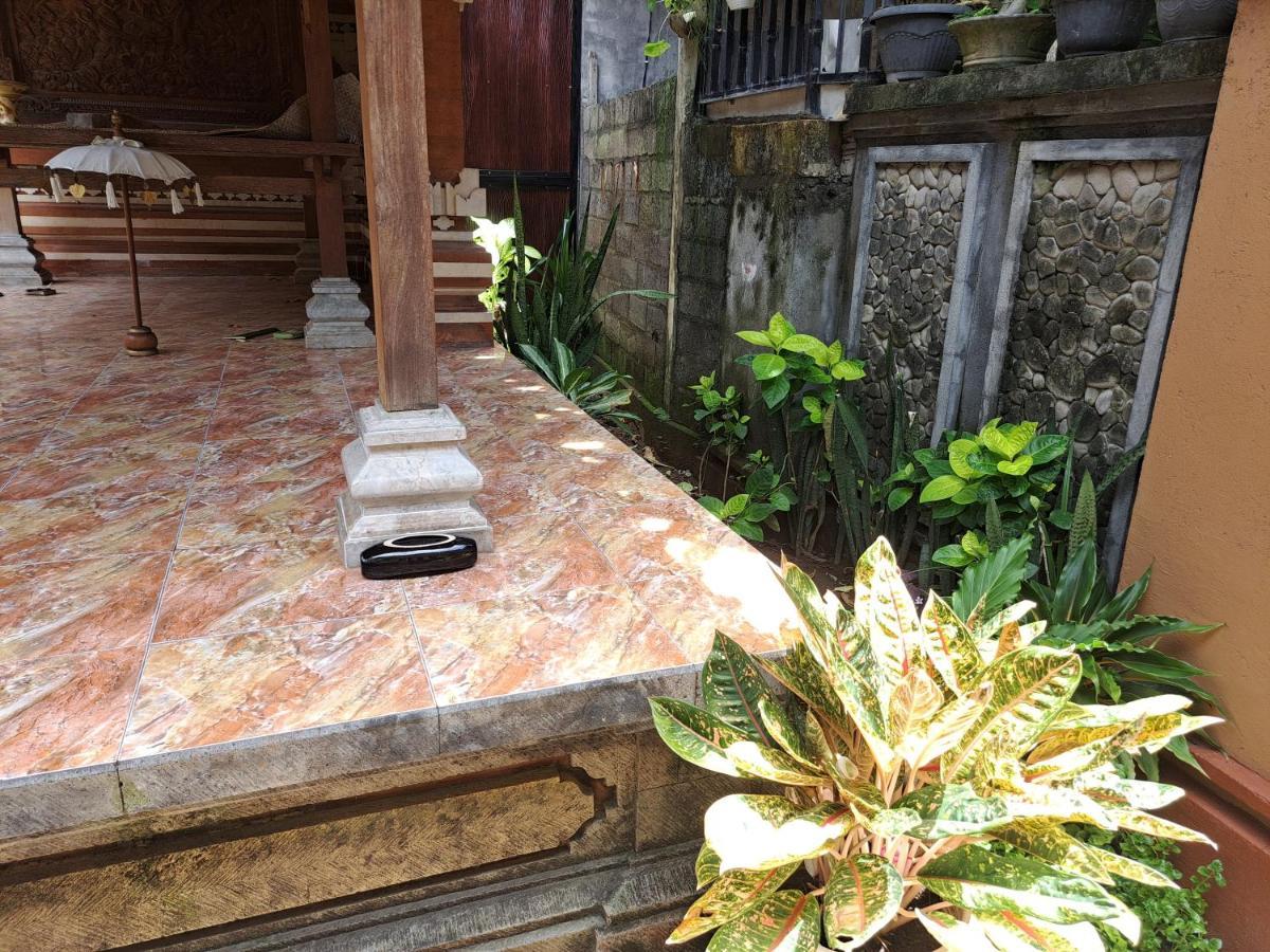 Ascarya * Sanur