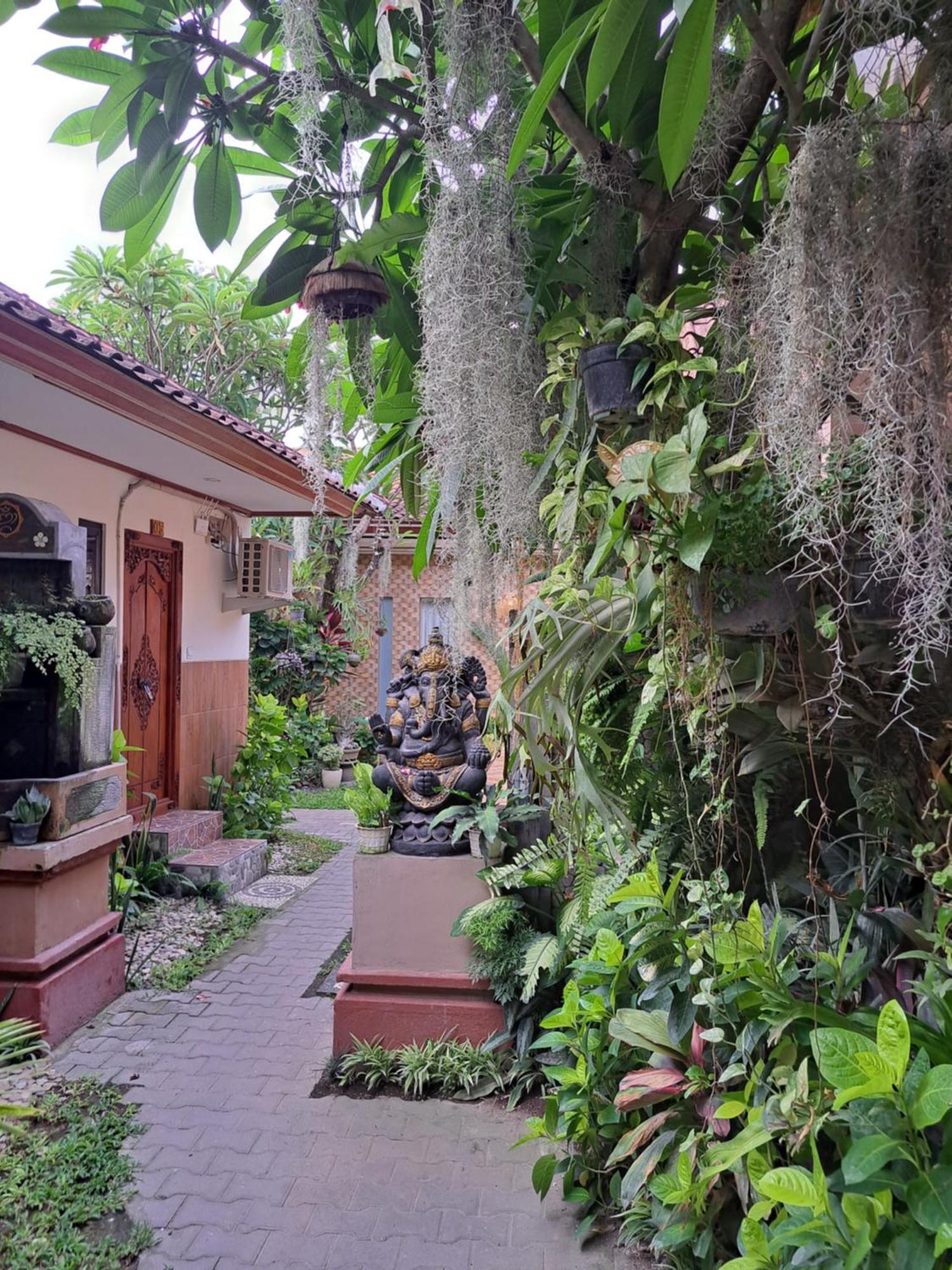 Ascarya * Sanur
