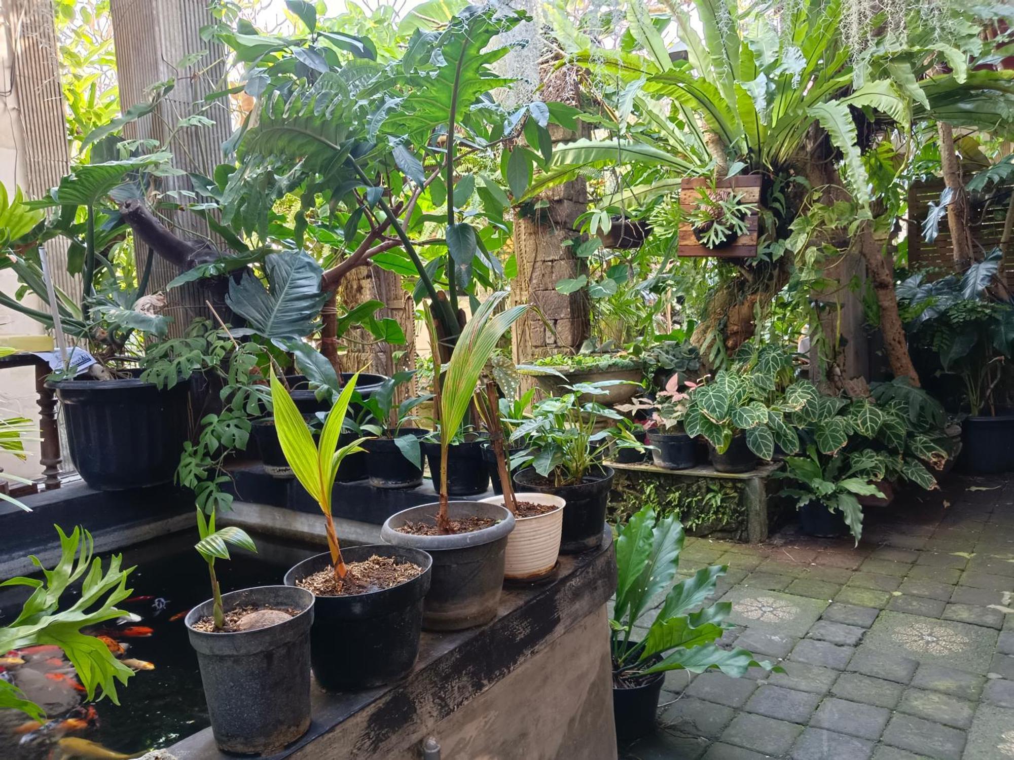 Gasthuis Double N Bali Sanur