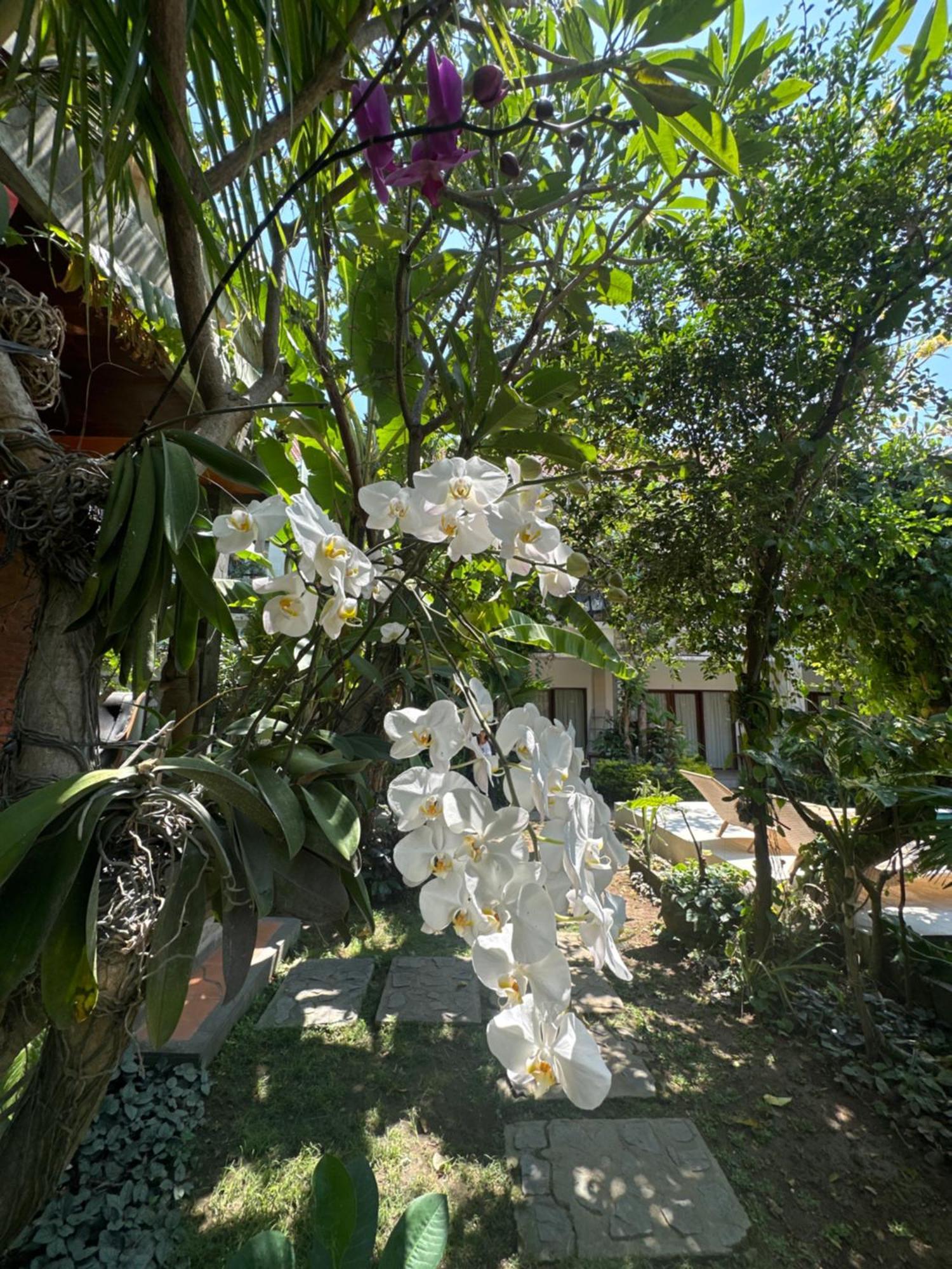 Casa de hóspedes Diuma Yoga Meditation Retreat And Healing Center 2*